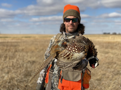 Central Dakota Lodge - Pheasant Hunting North Dakota