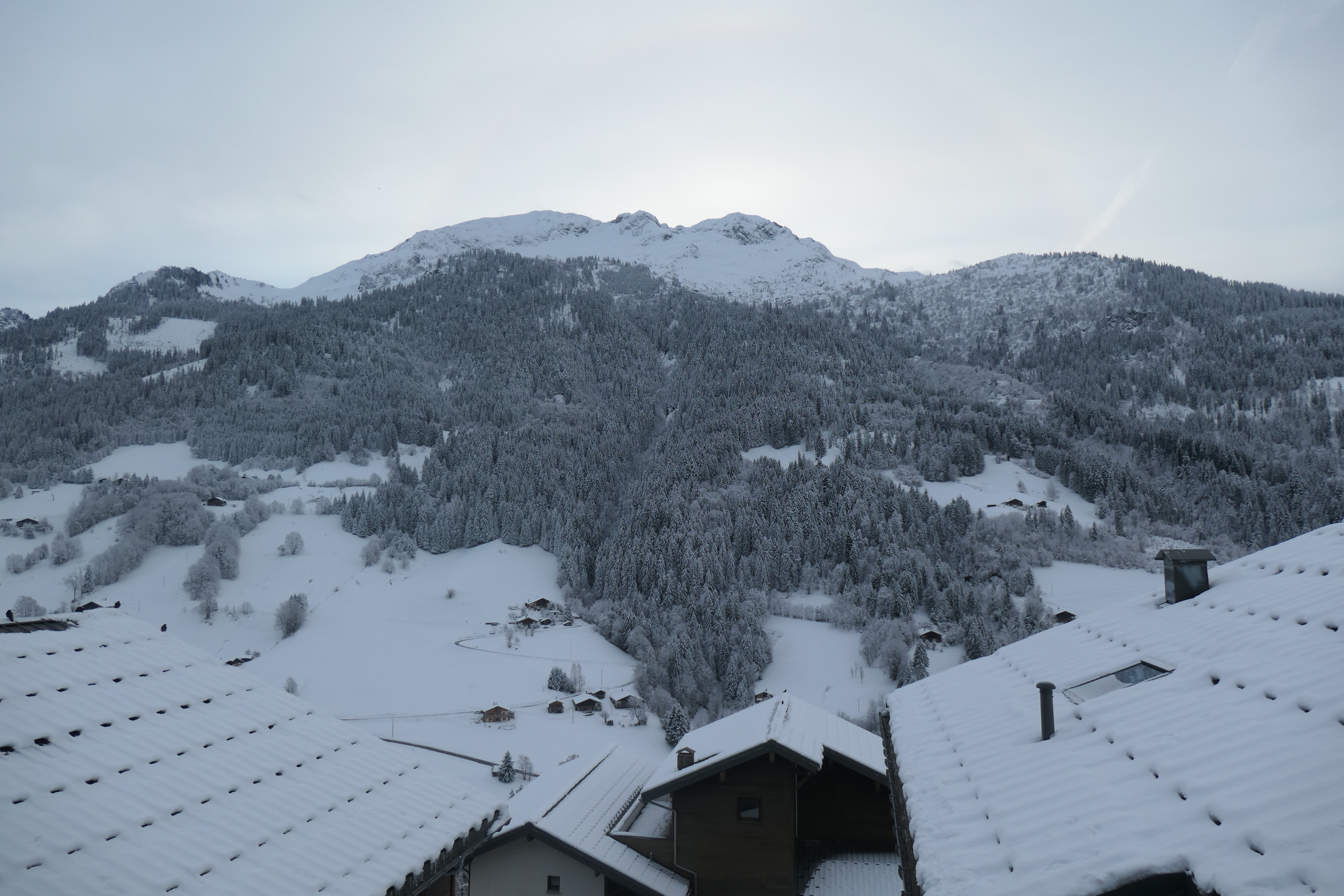 Photo n° 10 de l'avis de NA.E fait le 12/01/2024 à 23:45