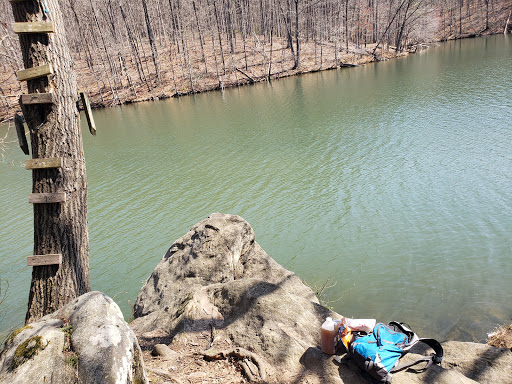 Nature Preserve «Liberty Reservoir», reviews and photos, 5685 Oakland Rd, Eldersburg, MD 21784, USA