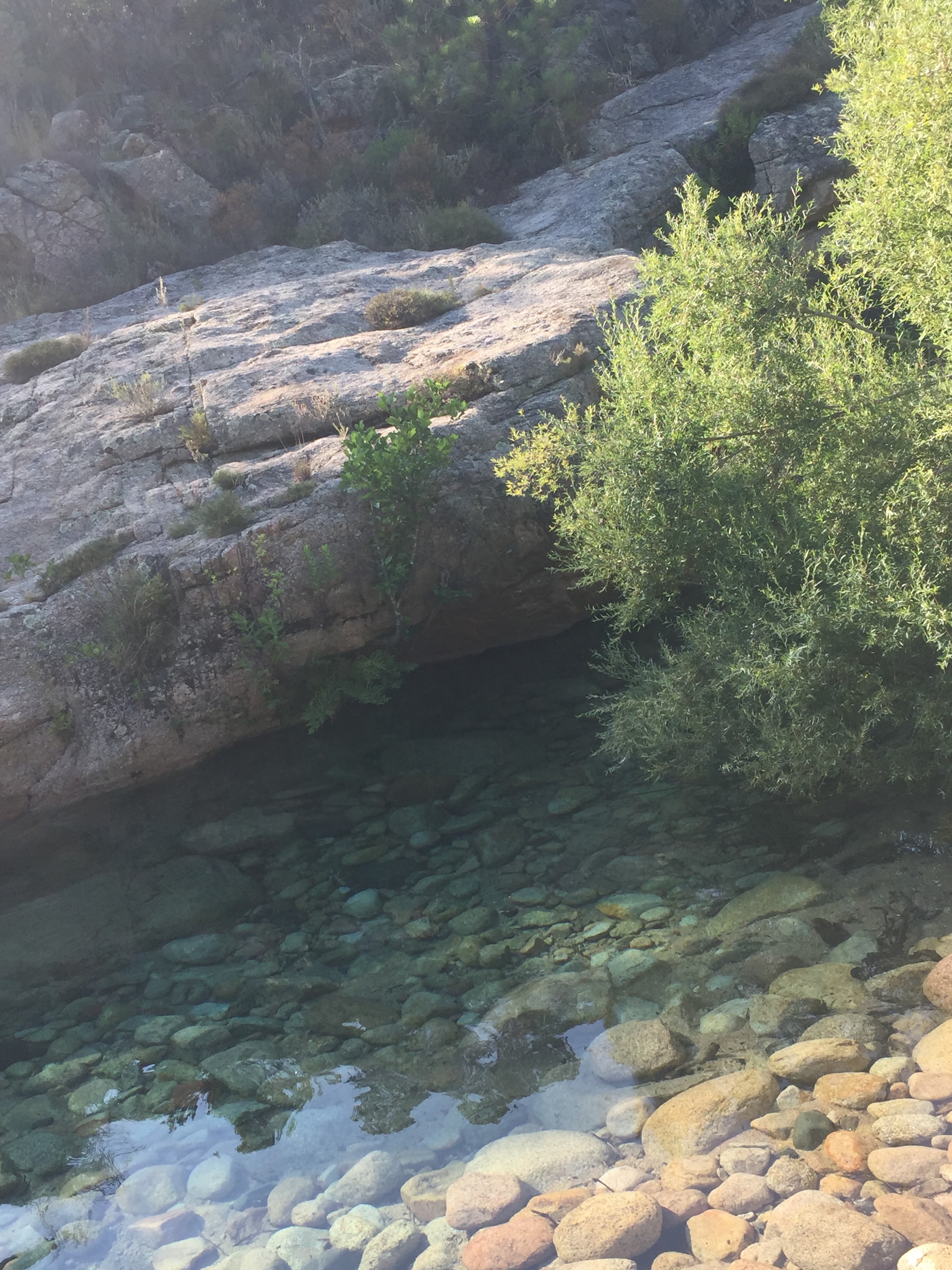 Photo n° 4 de l'avis de Laure.a fait le 31/07/2019 à 12:58