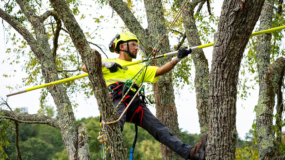 Someone else had a similar experience to mine. I used Bartlett to fertilize a tree and it seemed to be an ok process (guy