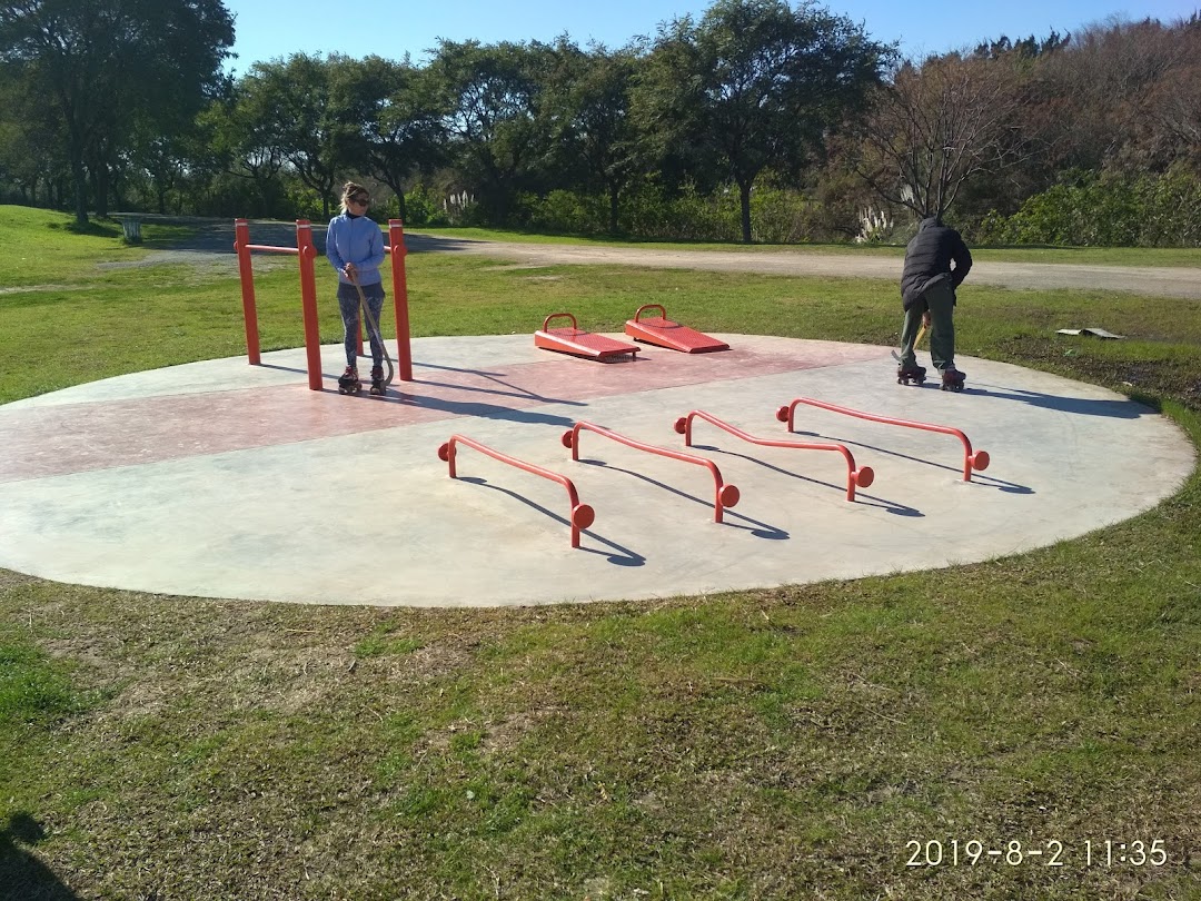 Entrenamiento calistenia y descenso de peso corporal