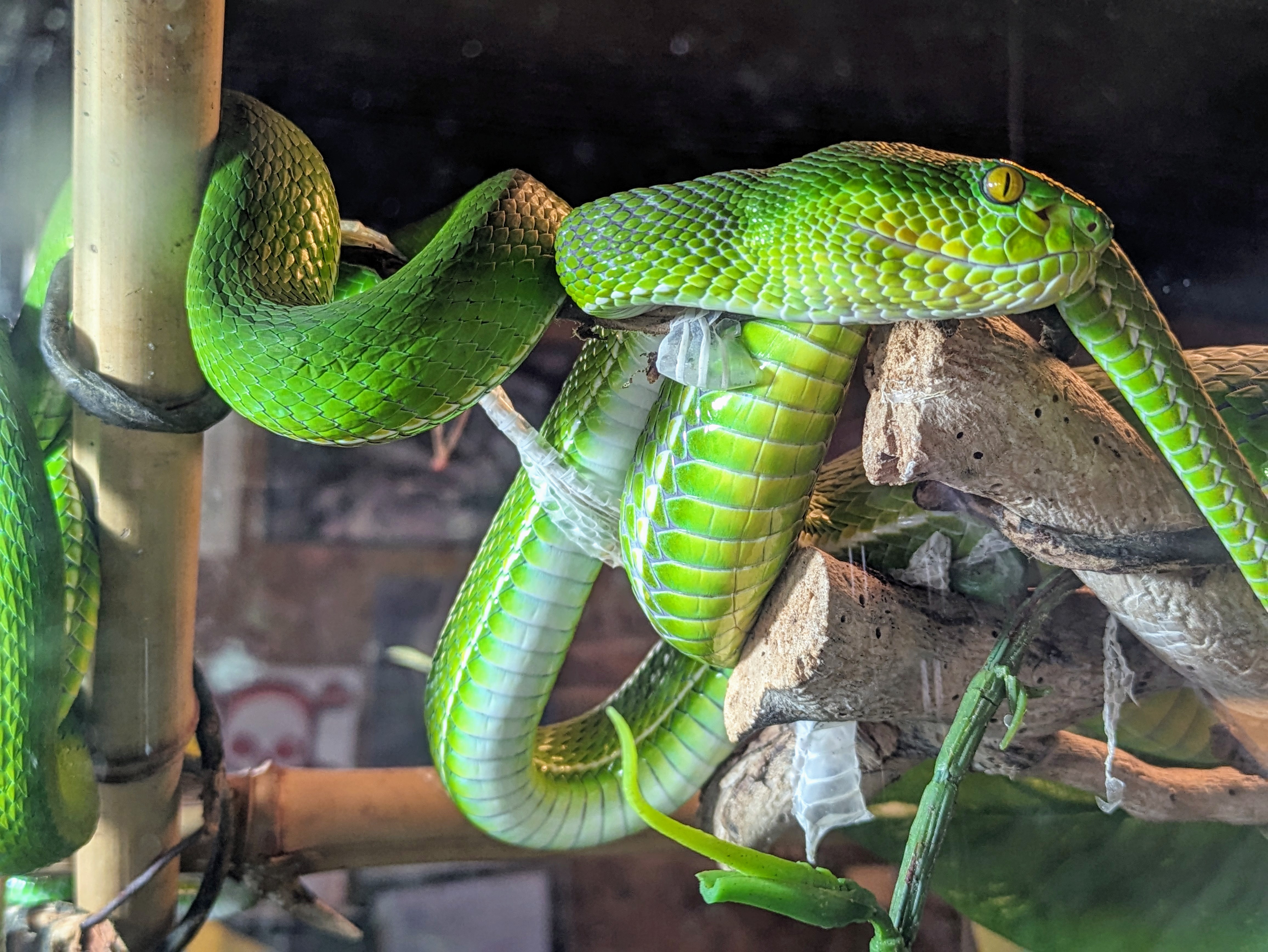 Photo n° 2 de l'avis de Clement.e fait le 02/04/2024 à 05:10