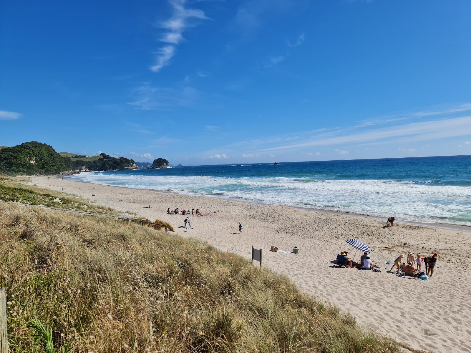 Foto di Whiritoa Beach con costa lunga e dritta