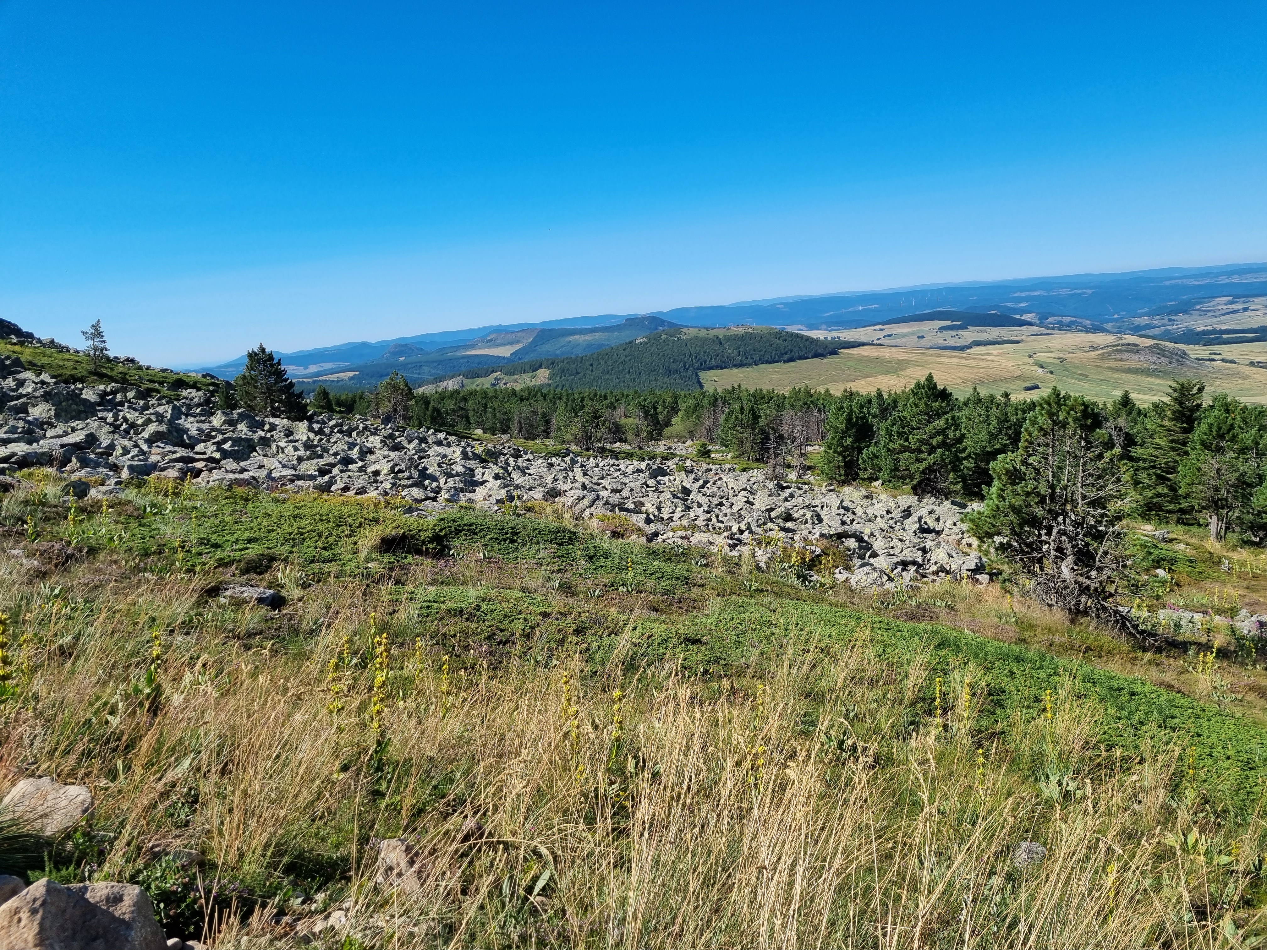 Photo n° 15 de l'avis de LD.R fait le 17/07/2022 à 16:33