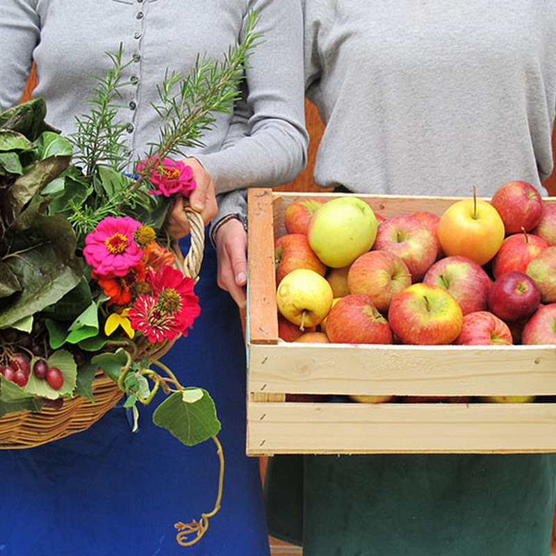 Biocesta del Gusto