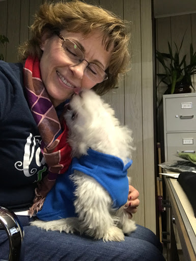 Auto Repair Shop «BMW Service and Repair Kent WA», reviews and photos, 22644 85th Pl S, Kent, WA 98031, USA