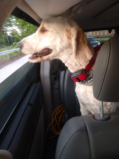 Pet Supply Store «Petco Animal Supplies», reviews and photos, 300 Quaker Ln #3, Warwick, RI 02886, USA