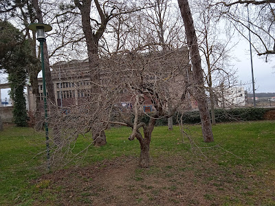 Parc Fénal à Laneuveville-devant-Nancy