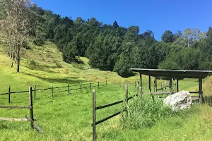 Wynne Farm Ecological Reserve image