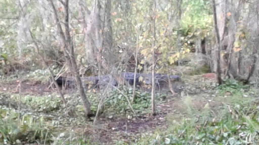 Golf Course «Sanlan Golf Course», reviews and photos, 2505 Sanlan Golf Dr, Lakeland, FL 33812, USA