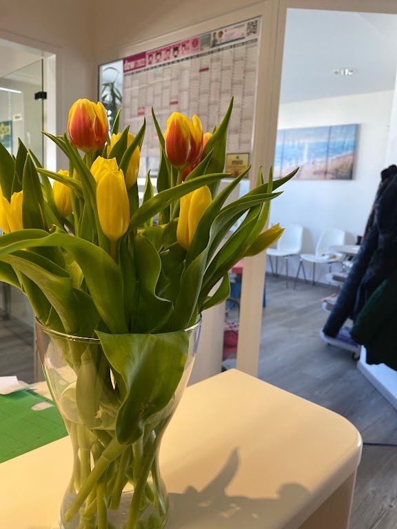 Praxis für Kieferorthopädie Polident