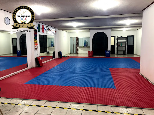 Alianza Profesional de Taekwondo Cuautla Morelia