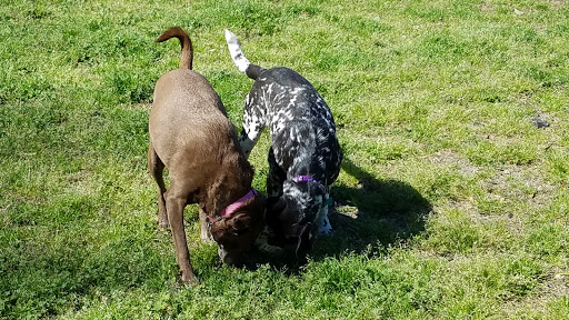 Park «Southside Park», reviews and photos, Southside Park Loop, Beaufort, SC 29902, USA