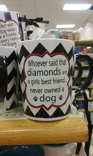 Home Goods Store «Christmas Tree Shops», reviews and photos, 1298 Worcester St, Natick, MA 01760, USA