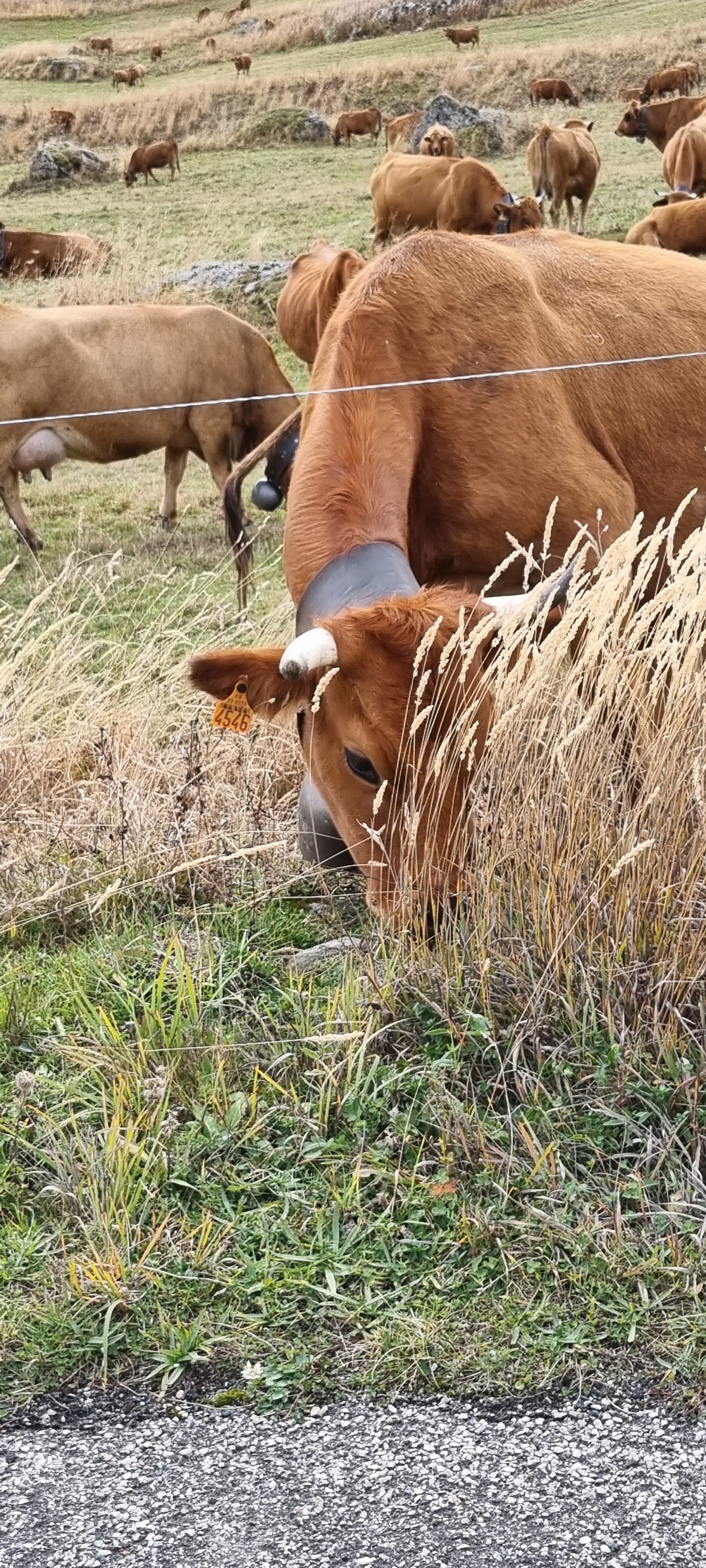 Photo n° 47 de l'avis de Raymond.a fait le 24/10/2023 à 19:44