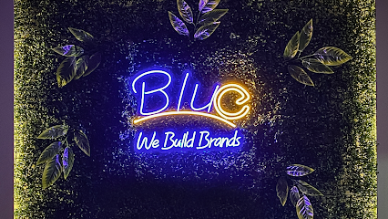 Blue Agency for Advertising & Digital marketing (Amr Dagher)