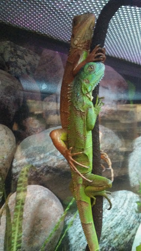 Pet Supply Store «Petco Animal Supplies», reviews and photos, 9004 Vernon Rd, Lake Stevens, WA 98258, USA