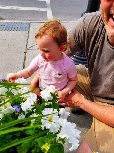 Cajun Restaurant «Parish Public House», reviews and photos, 388 Broadway, Albany, NY 12207, USA