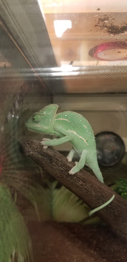 Pet Supply Store «PetSmart», reviews and photos, 2510 Berryhill Rd, Montgomery, AL 36117, USA