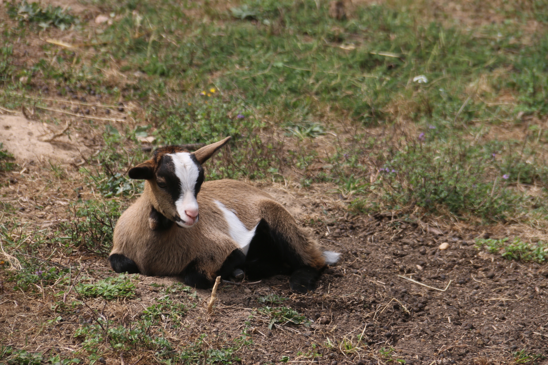 Photo n° 3 de l'avis de Patrice.o fait le 18/08/2023 à 18:06