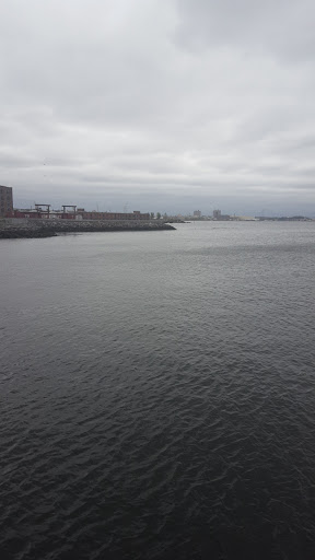 Winery «Red Hook Winery», reviews and photos, 175 Van Dyke St, Brooklyn, NY 11231, USA