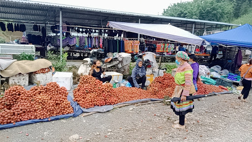 Top 20 các cửa hàng dkbike Huyện Xi Ma Cai Lào Cai 2022