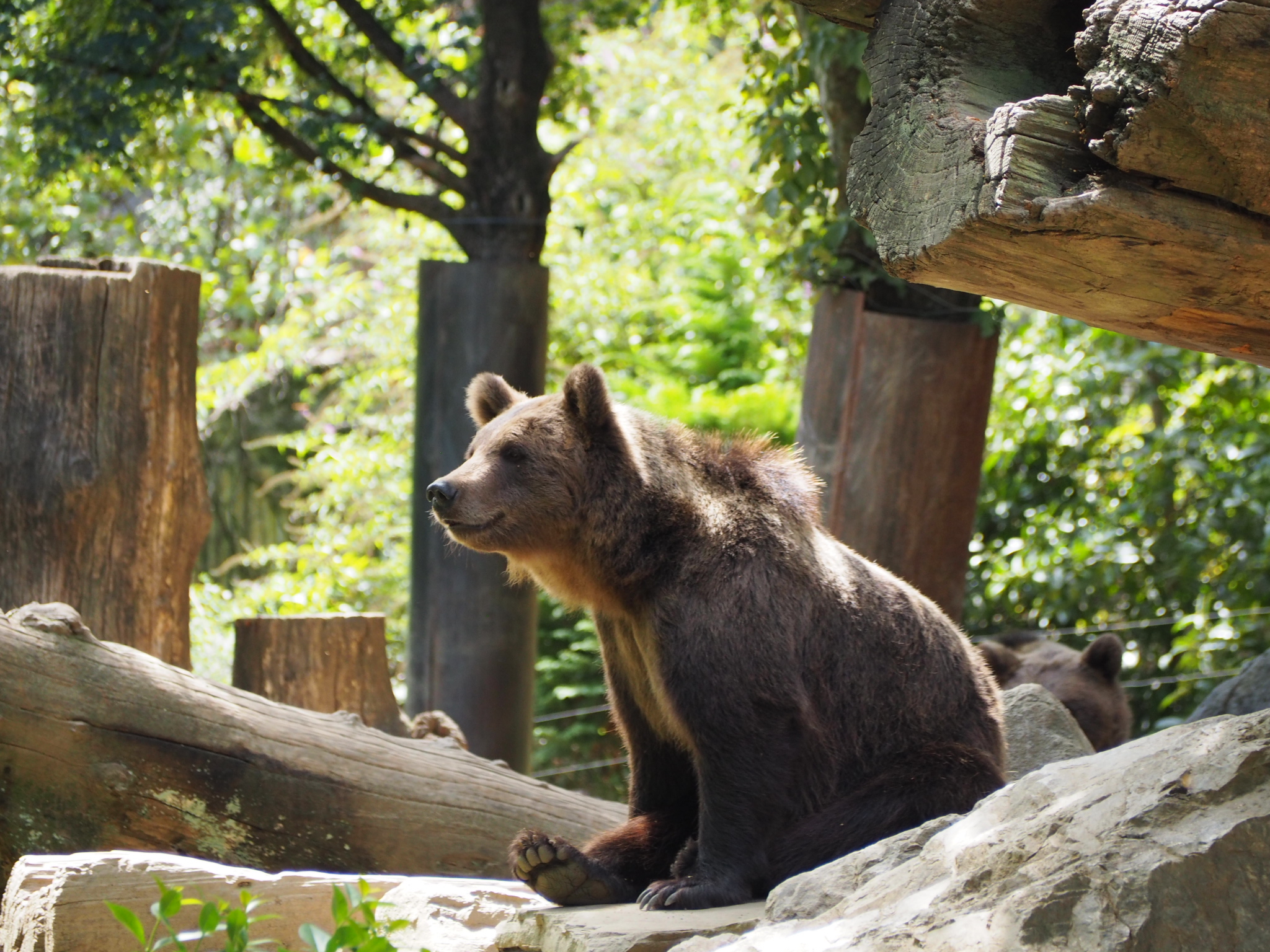 Photo n° 5 de l'avis de Carole. fait le 22/08/2022 à 21:38