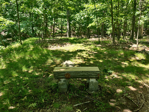 Nature Preserve «Greenbrook Nature Sanctuary», reviews and photos, Green Brook Rd, Tenafly, NJ 07670, USA