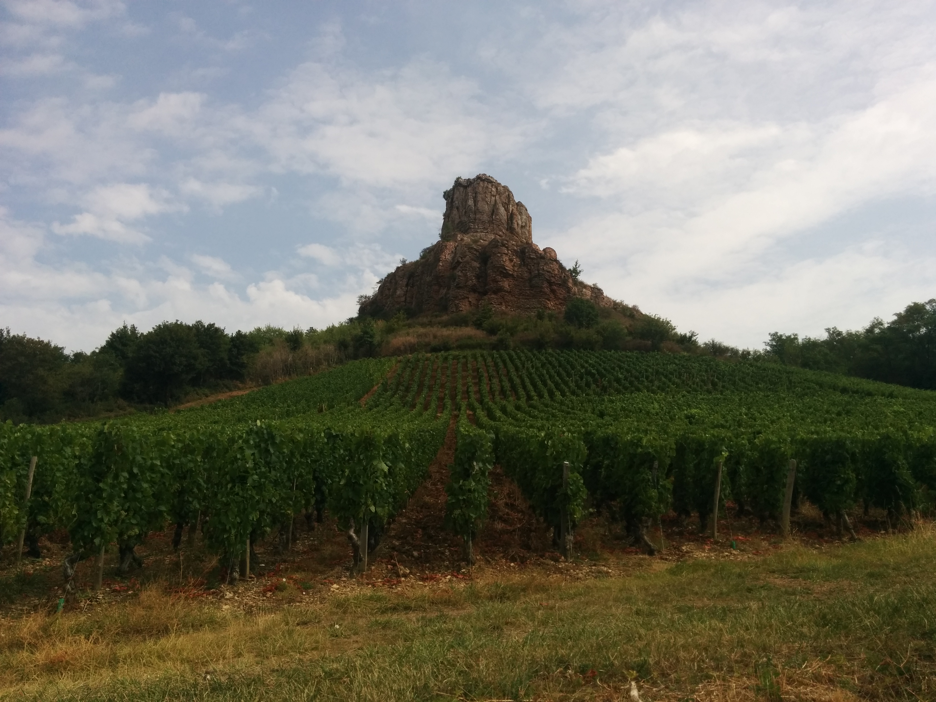 Photo n° 1 de l'avis de Emilie.u fait le 08/08/2018 à 13:56