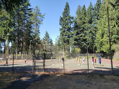 Evergreen Playfield Tennis Courts (4)