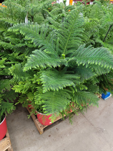 Home Improvement Store «The Home Depot», reviews and photos, 960 US-41, Schererville, IN 46375, USA