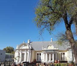 The Old Oak Slave Tree photo