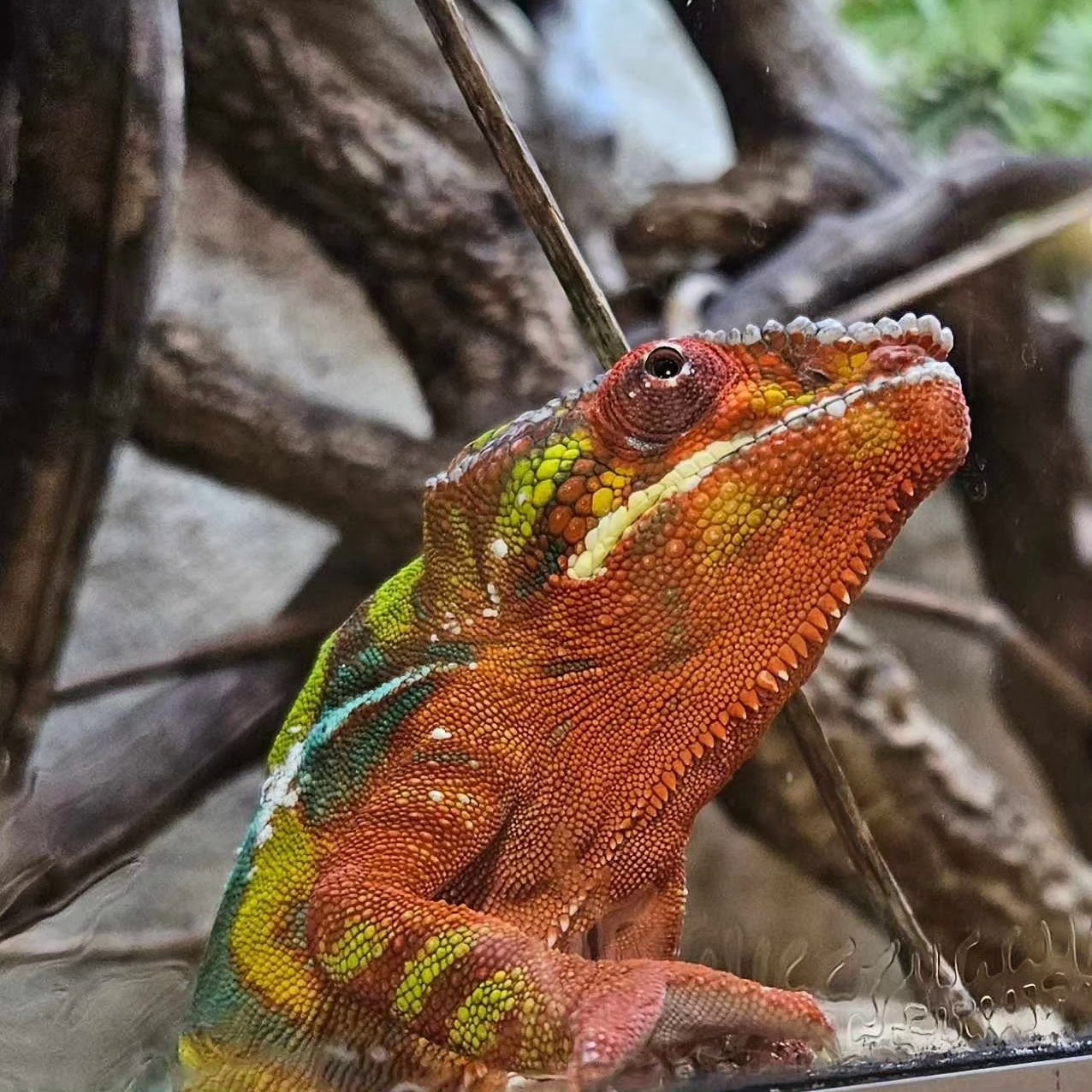 Photo n° 3 de l'avis de luderw. fait le 27/07/2023 à 15:56