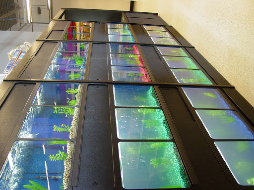 Pet Supply Store «Mellisa’s PET DEPOT», reviews and photos, 83 Faunce Corner Mall Rd, Dartmouth, MA 02747, USA