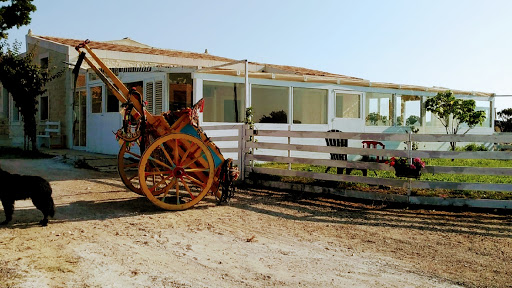 Agriturismo La Fattoria di Angelica - Cucina Tipica Siciliana in Pachino, Libero Consorzio Comunale di Siracusa