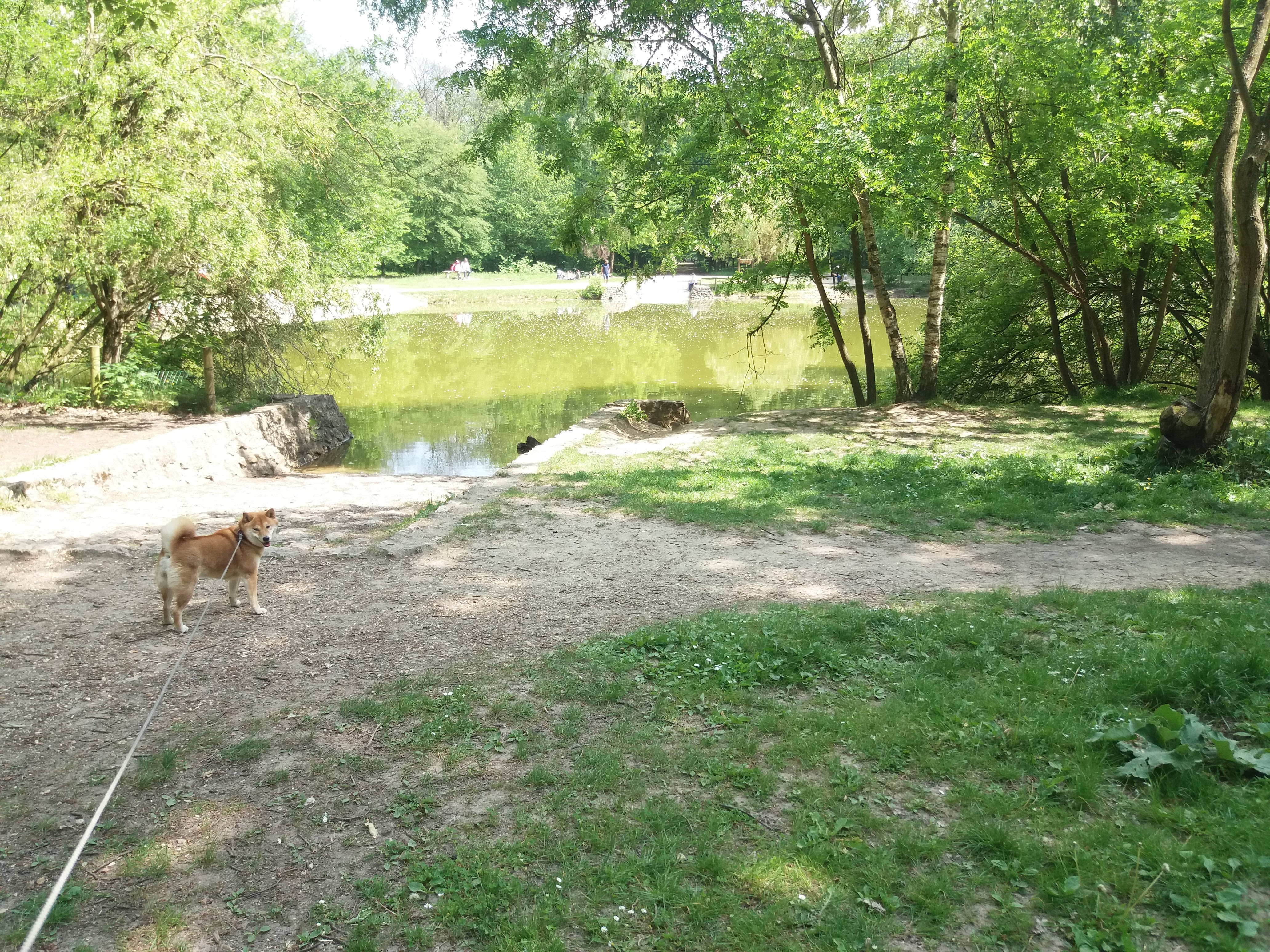 Photo n° 2 de l'avis de Herve.e fait le 20/05/2018 à 17:35