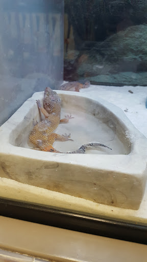 Pet Supply Store «Petco Animal Supplies», reviews and photos, 1401 E Spring Valley Rd, Richardson, TX 75081, USA