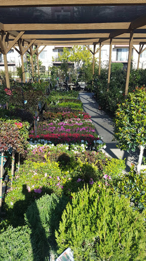 Armstrong Garden Centers