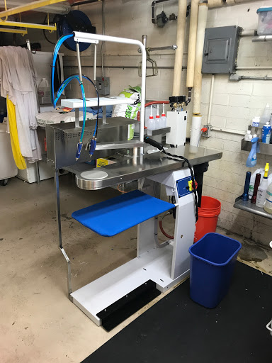 Dry Cleaner «OrganiCare Garment Care», reviews and photos, 341 W Thomas Rd, Phoenix, AZ 85013, USA