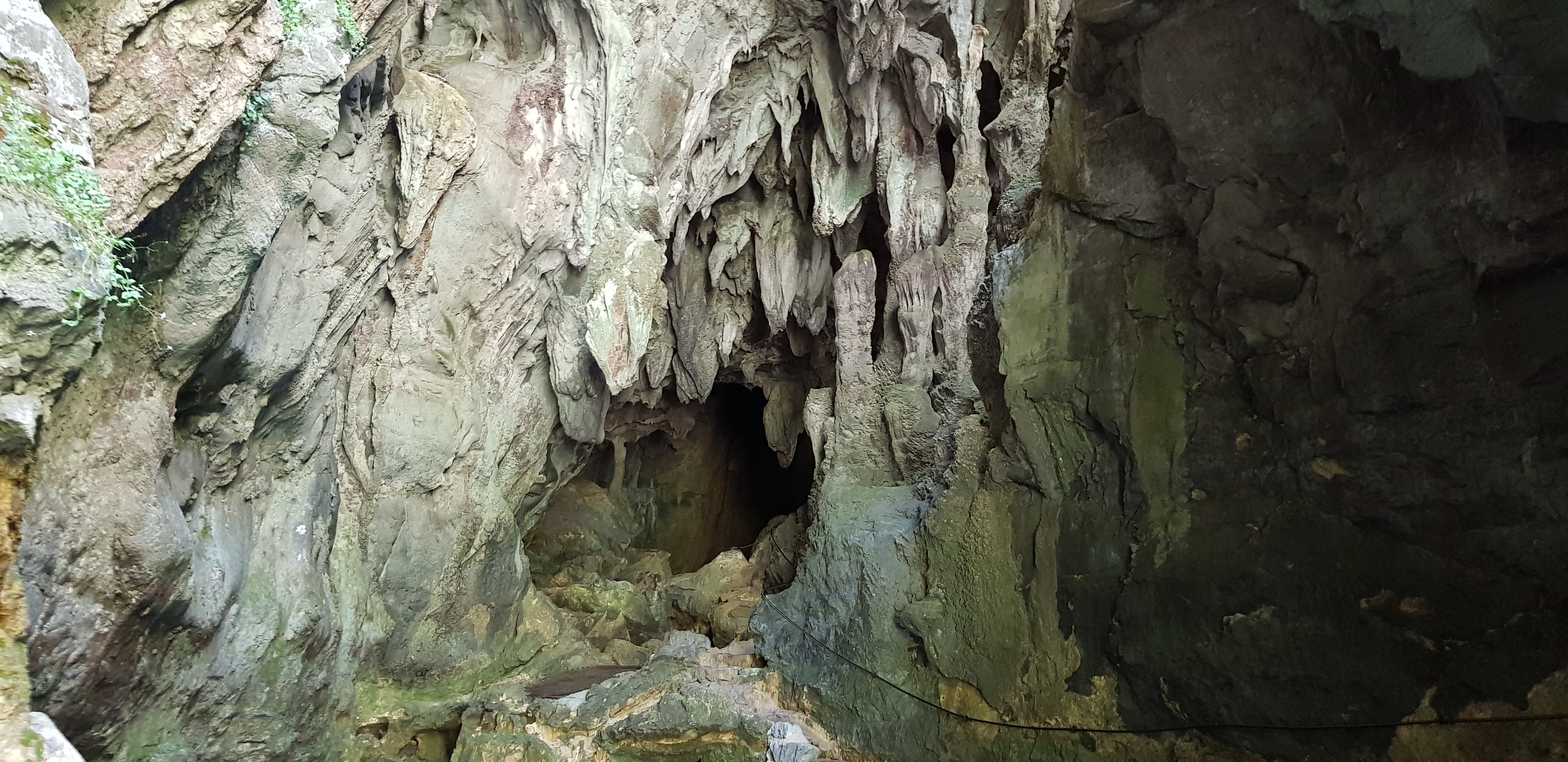 Photo n° 4 de l'avis de fabrice.e fait le 19/07/2018 à 07:30