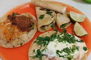 Tacos Y Tortas Tere image