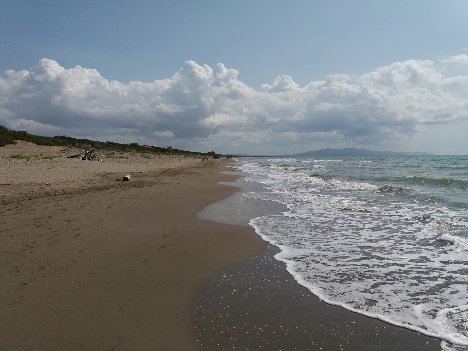 Zdjęcie Spiaggia Delle Marze - dobre miejsce przyjazne zwierzętom domowym na wakacje