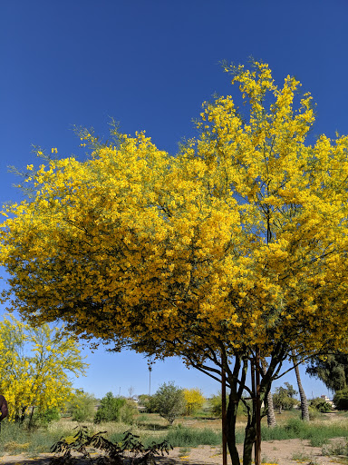 Golf Club «Toka Sticks Golf Club», reviews and photos, 6910 E Williams Field Rd, Mesa, AZ 85212, USA