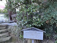 源覚寺(こんにゃく閻魔)
