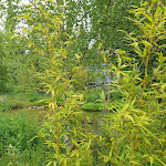 Photo n°2 de l'avis de Jesper.e fait le 28/06/2020 à 07:33 sur le  EUT-IN Hotel Alte Straßenmeisterei à Eutin