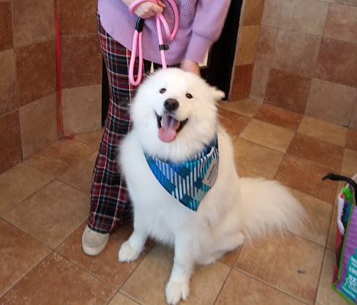 Pet Supply Store «PetSmart», reviews and photos, 3042 W Ridge Rd, Greece, NY 14626, USA