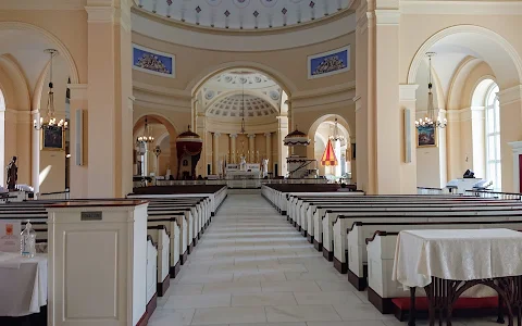 The Baltimore Basilica image