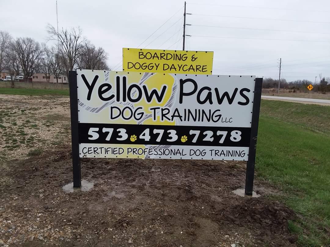 Yellow Paws Dog Training LLC