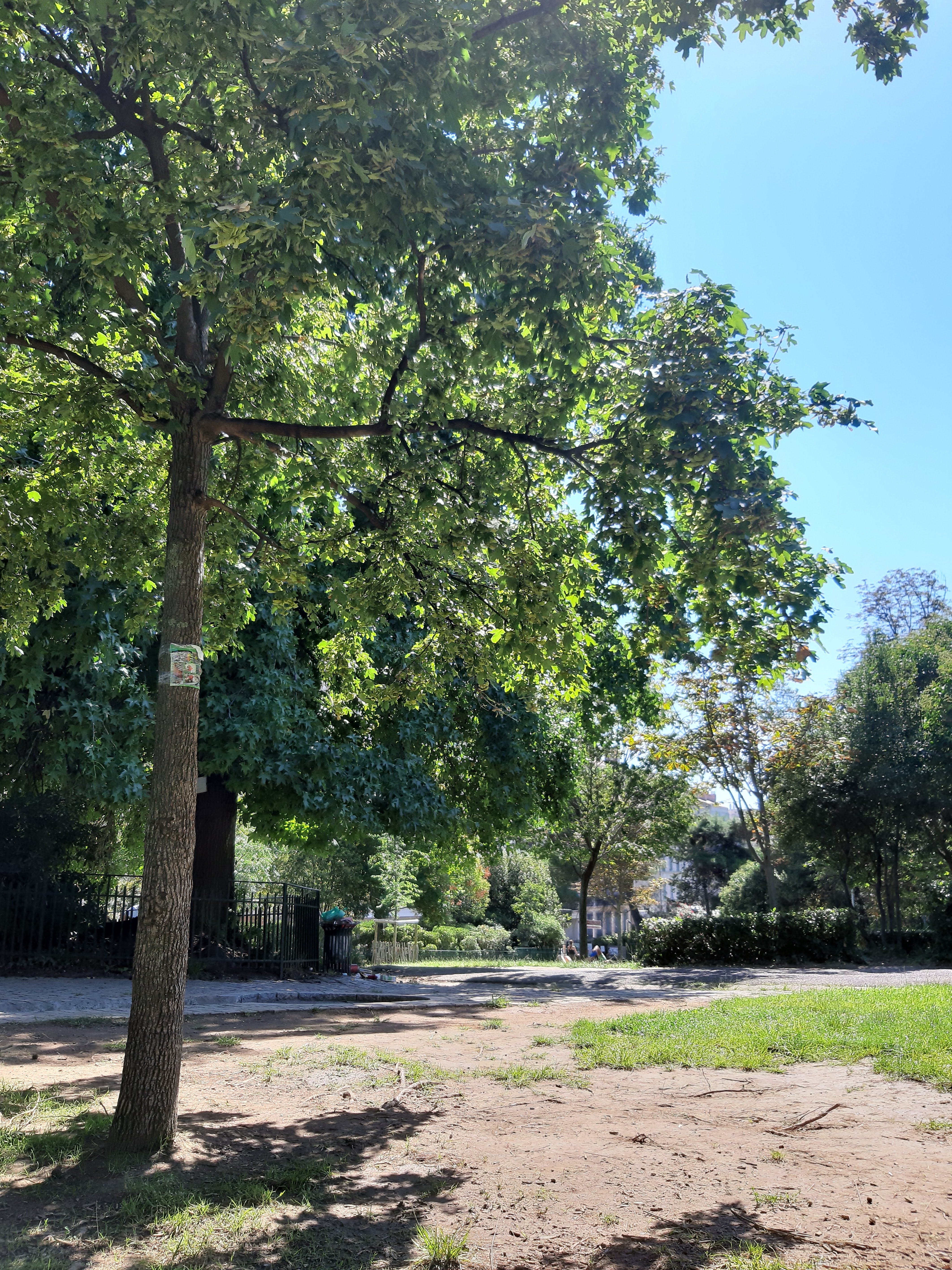 Photo n° 37 de l'avis de Marie.e fait le 06/09/2020 à 18:47